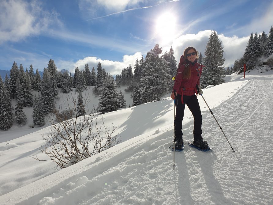 Snowshoes with Telescope Poles